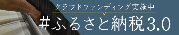 ふるさと納税3.0