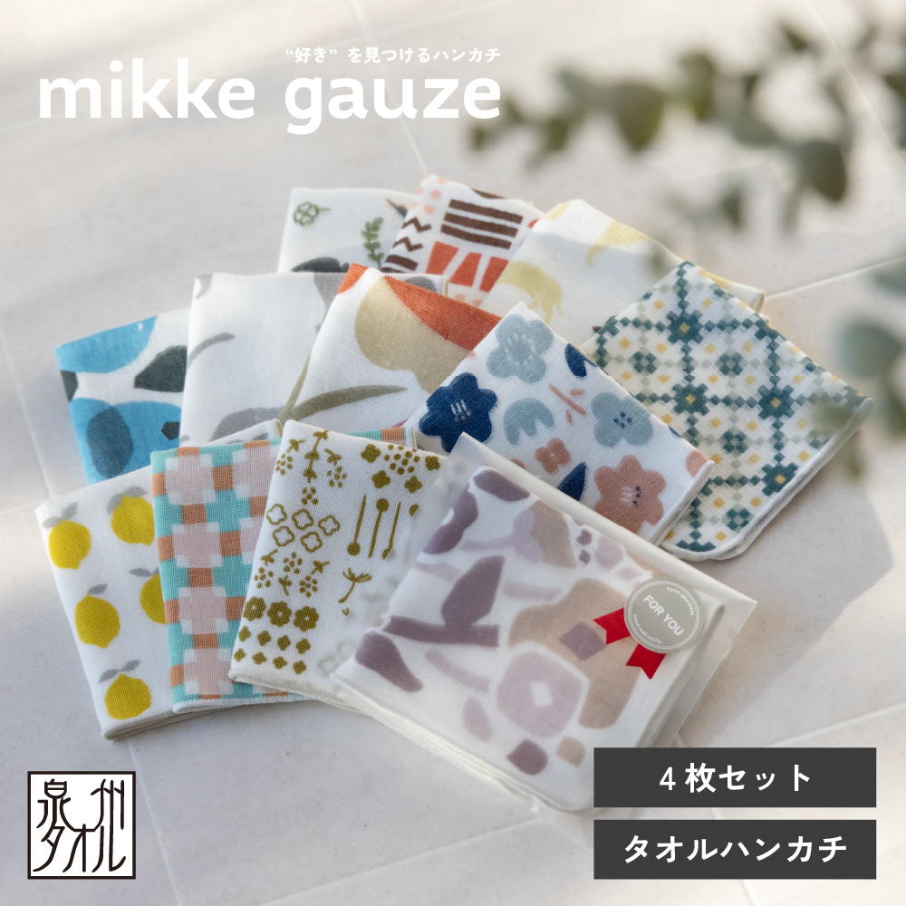 ミッケガーゼトップ