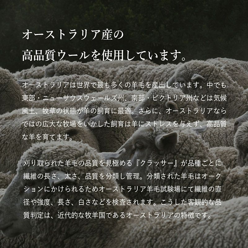 シュタインズゲート もふもふひざかけ ひざかけ シュタインズゲート もふもふひざかけ ひざかけ