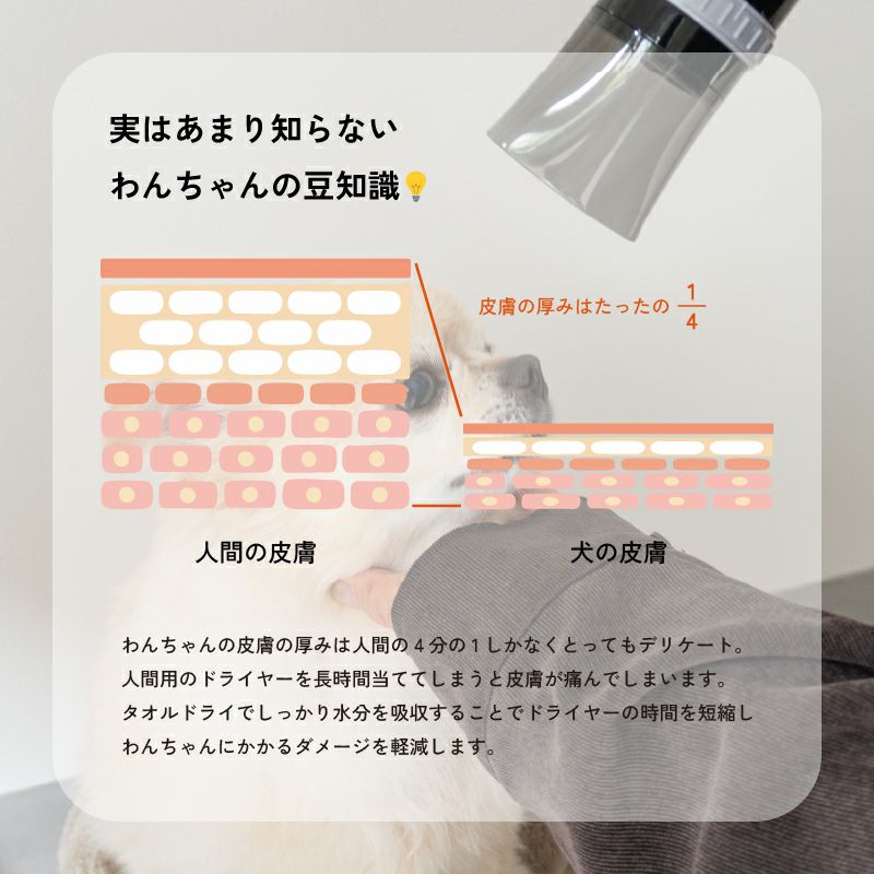 ドッグタオル 名入れ刺繍 犬用タオル バスタオル ワンポイント刺繍 肉球 豆知識